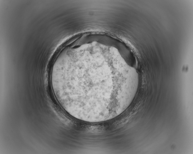 X0000096440584200802211212