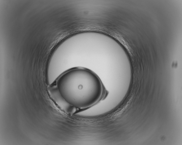 X0000096440585200802211212