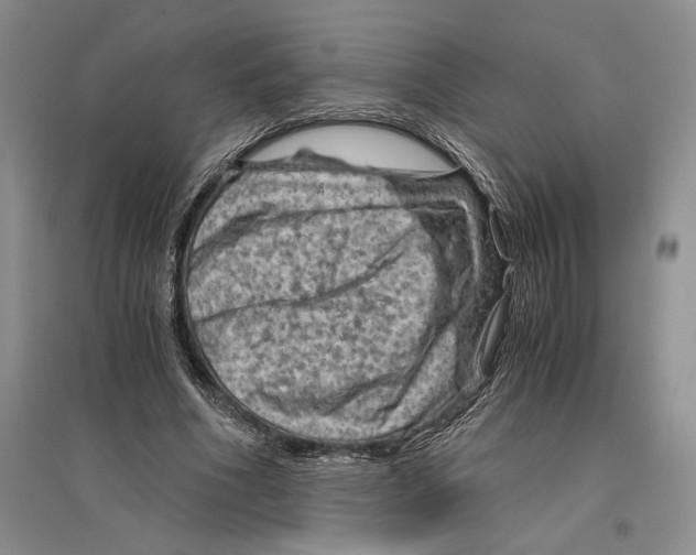 X0000096440586200802211212