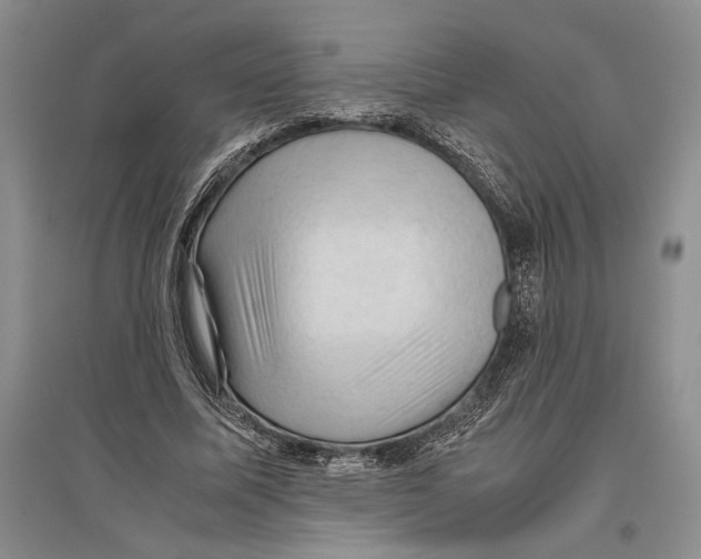 X0000096440587200802211212