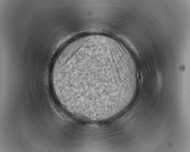 X0000096440588200802211212