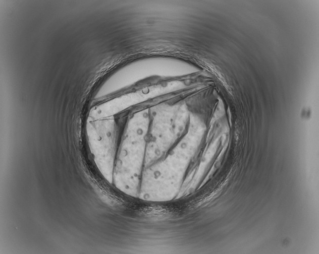 X0000096440589200802211212