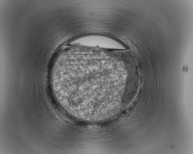 X0000096440591200802211212