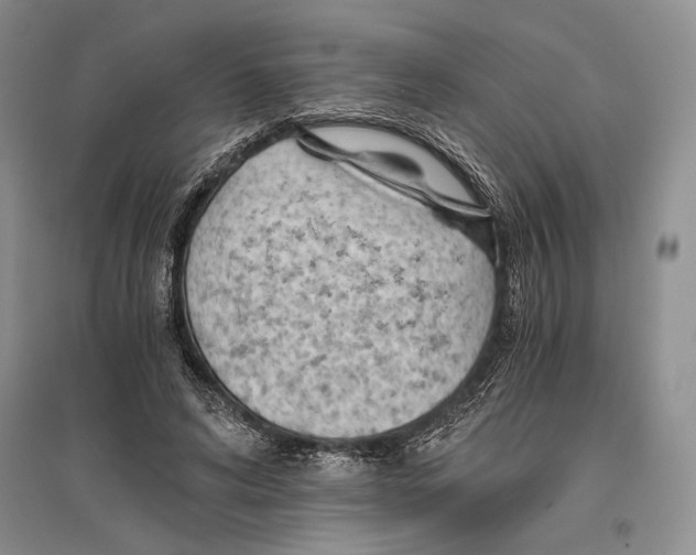 X0000096440592200802211212