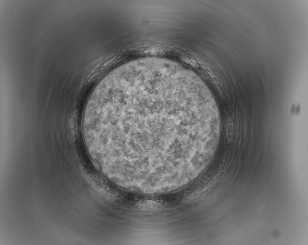 X0000096440594200802211212