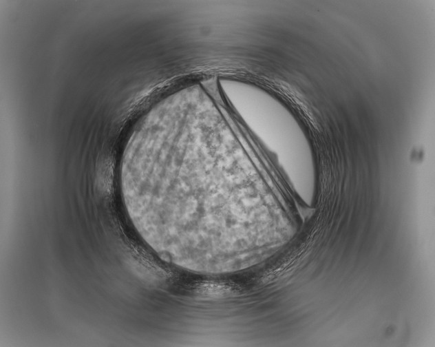 X0000096440596200802211212