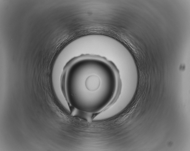 X0000096440597200802211212