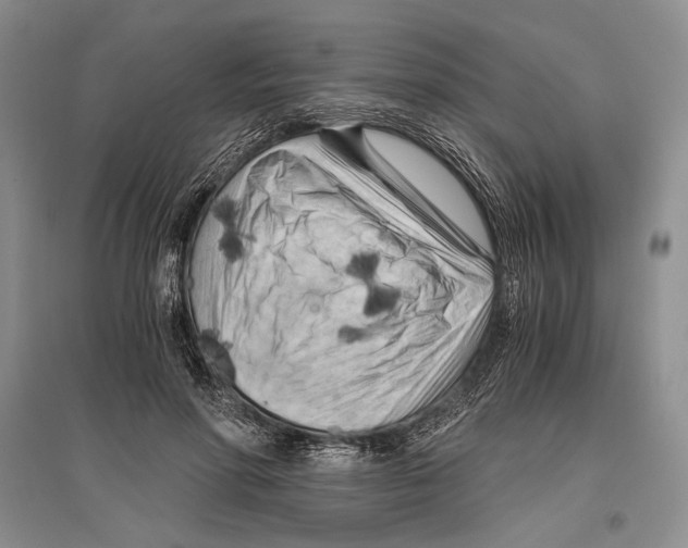 X0000096440598200802211212