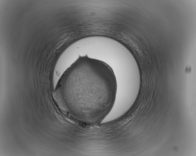 X0000096440599200802211212