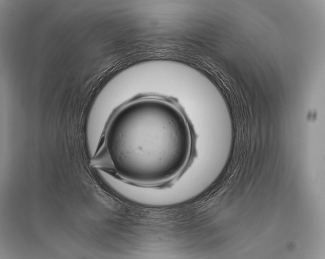 X0000096440601200802211212