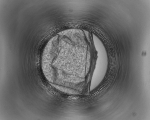 X0000096440602200802211212