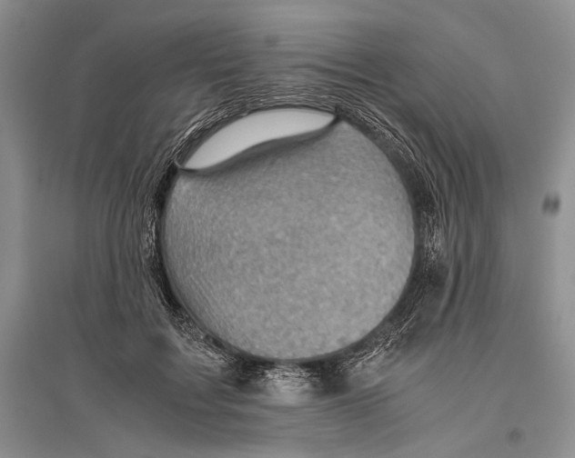 X0000096440603200802211212