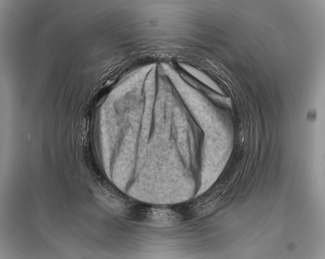 X0000096440605200802211212