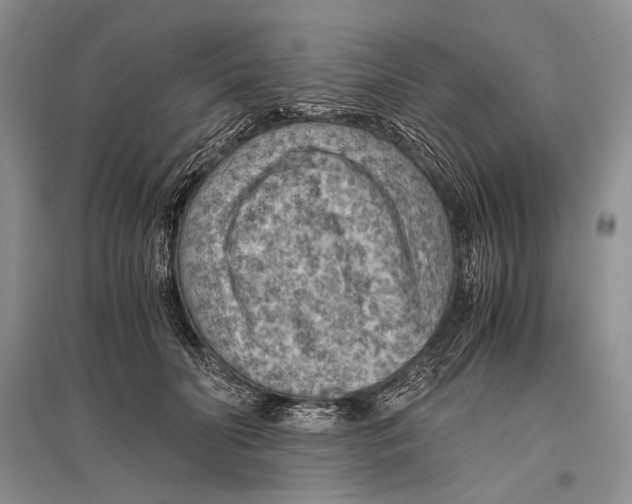 X0000096440606200802211212