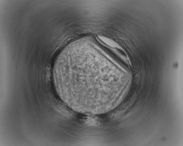 X0000096440612200802211212