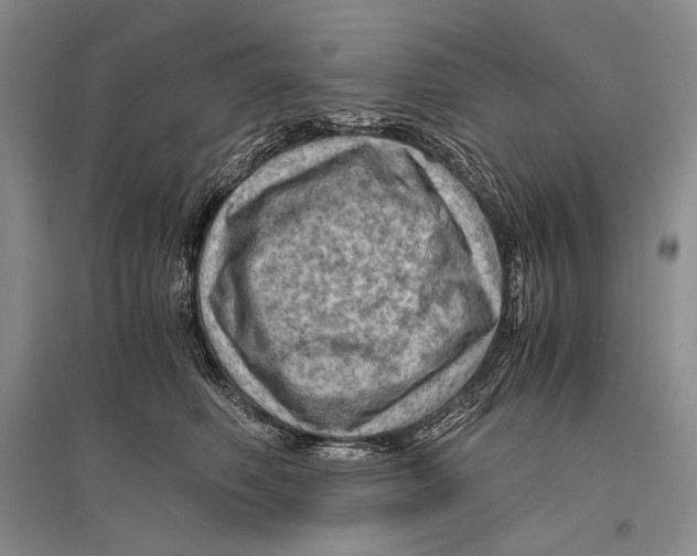 X0000096440614200802211212