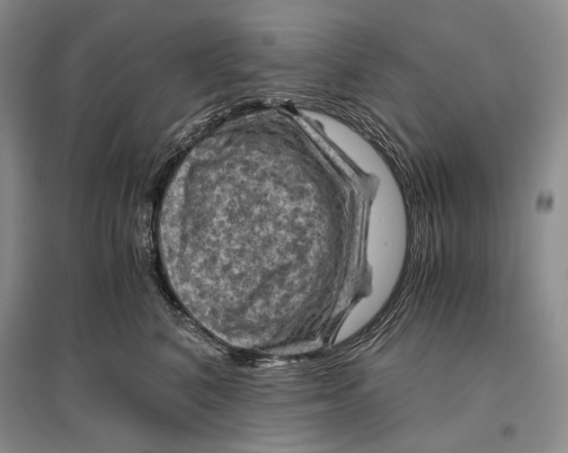 X0000096440616200802211212