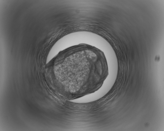 X0000096440617200802211212