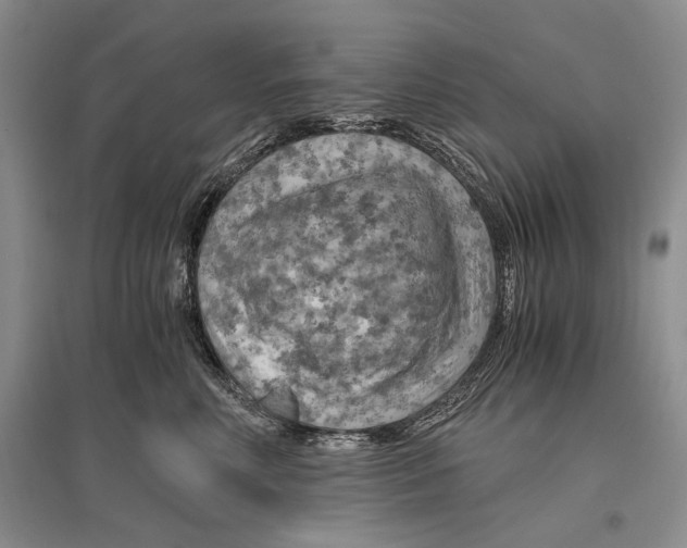 X0000096440618200802211212