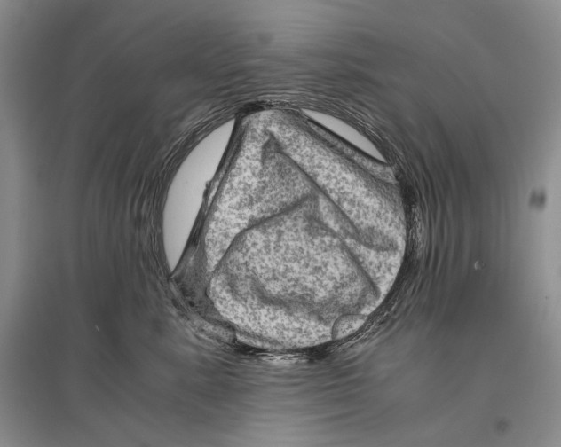 X0000096440619200802211212