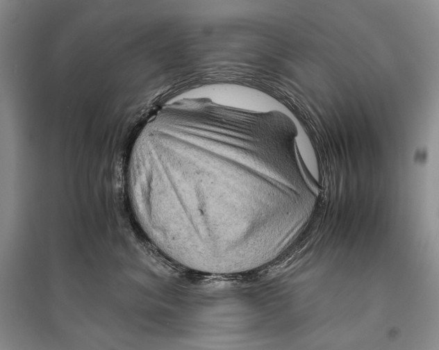 X0000096440620200802211212