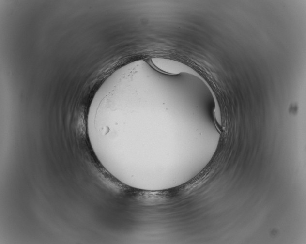 X0000096440622200802211212