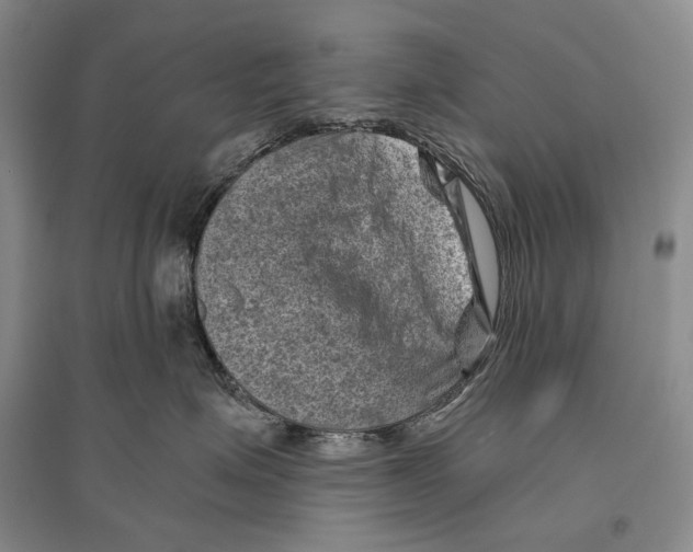 X0000096440623200802211212