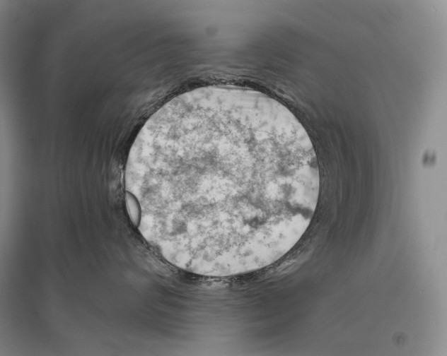 X0000096440624200802211212