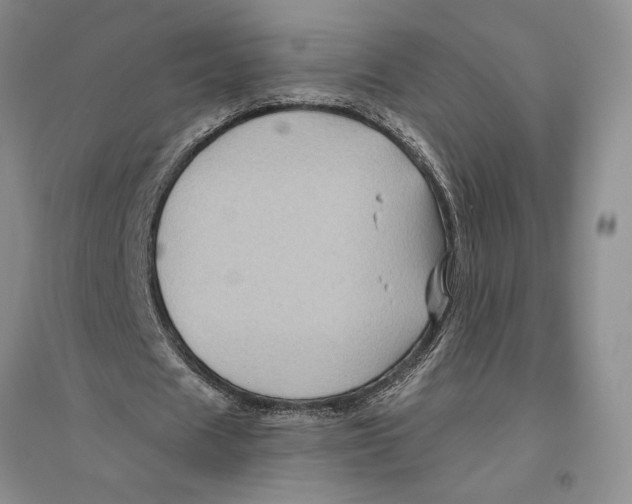 X0000096440625200802211211