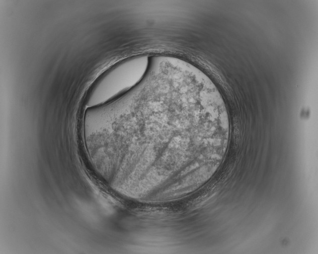 X0000096440626200802211211