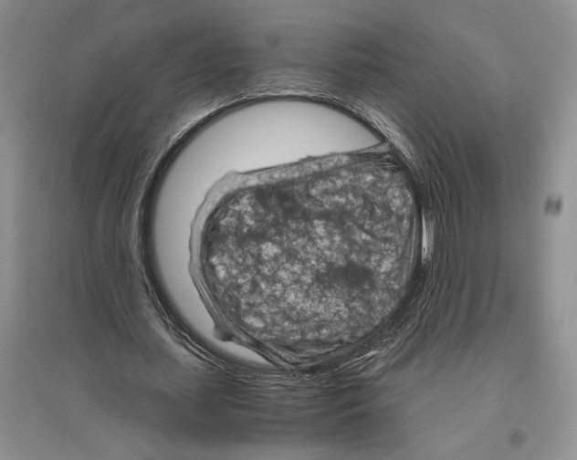 X0000096440627200802211211