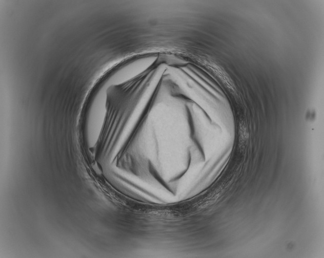 X0000096440628200802211211