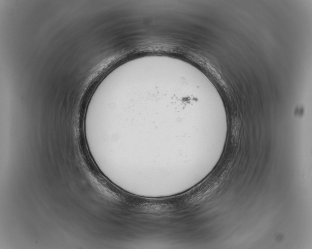 X0000096440629200802211211