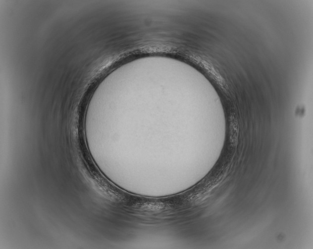 X0000096440631200802211211