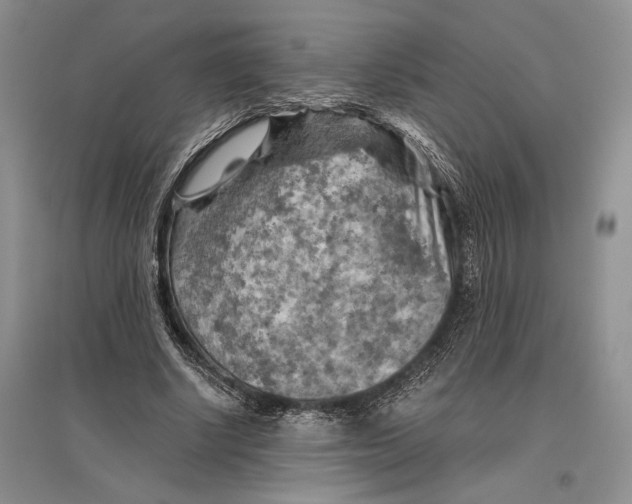 X0000096440634200802211211