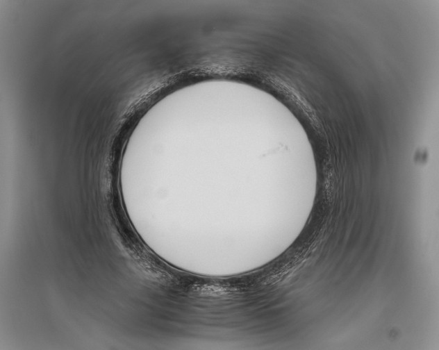 X0000096440635200802211211