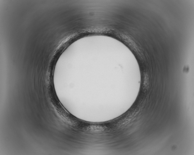 X0000096440636200802211211