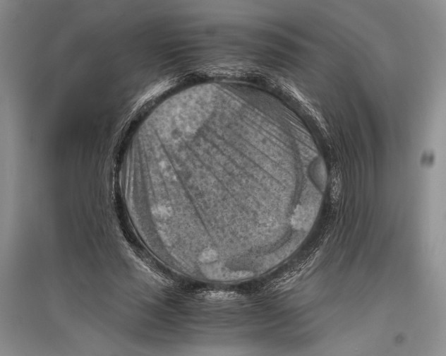 X0000096440637200802211211