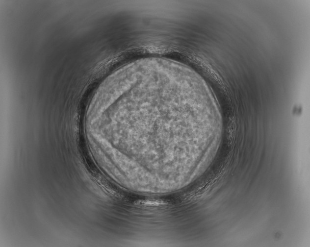 X0000096440639200802211211