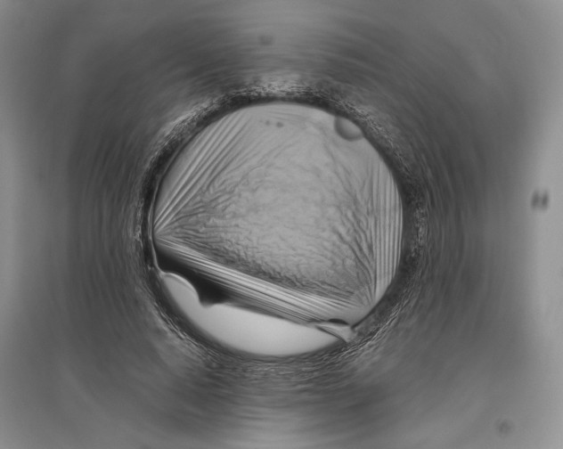 X0000096440640200802211211