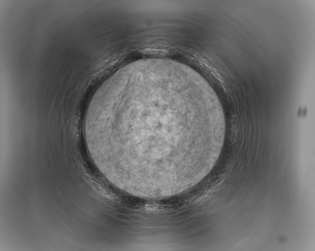 X0000096440641200802211211