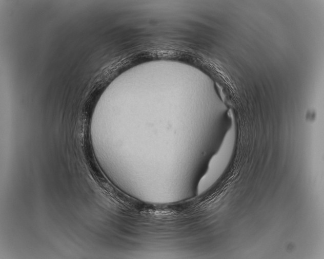 X0000096440645200802211211