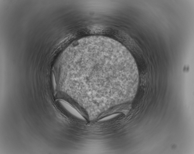 X0000096440648200802211211