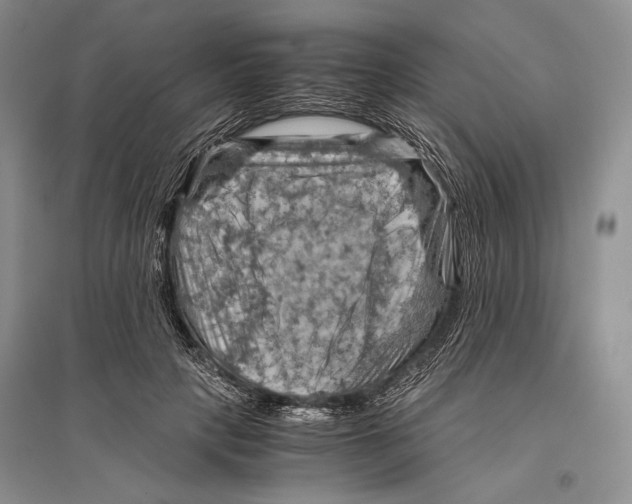 X0000096440649200802211211