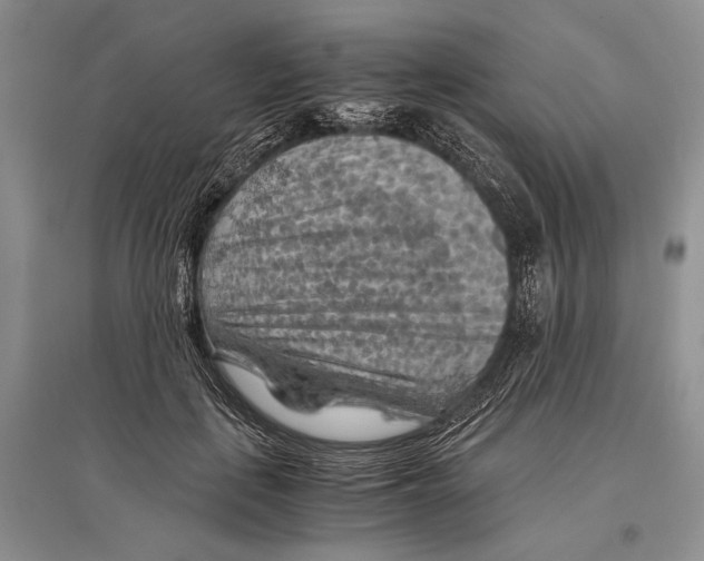 X0000096440651200802211211