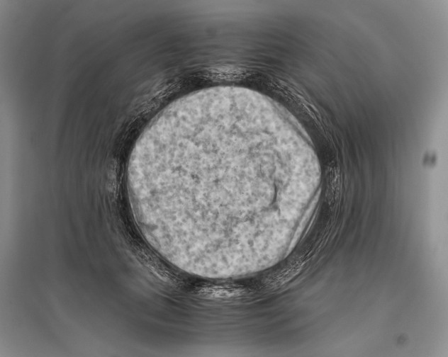 X0000096440655200802211211