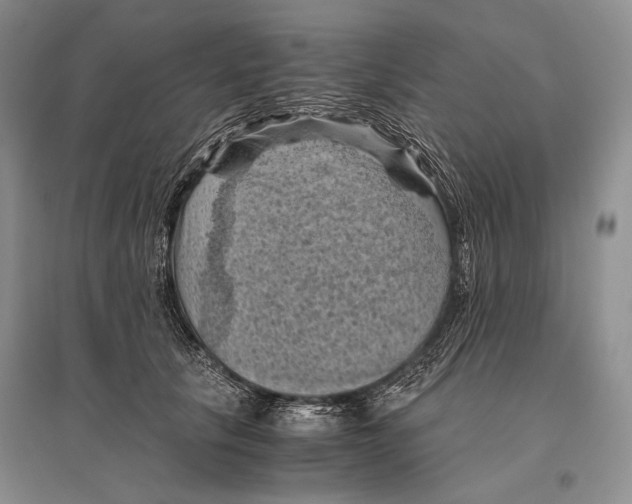 X0000096440657200802211211