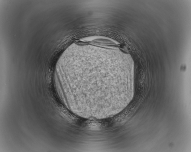 X0000096440658200802211211