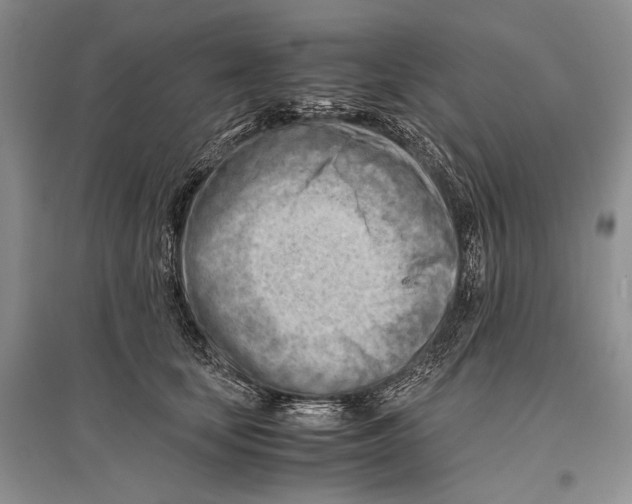 X0000096440659200802211211