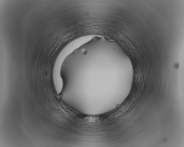 X0000096440660200802211211